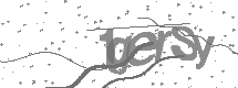visual captcha